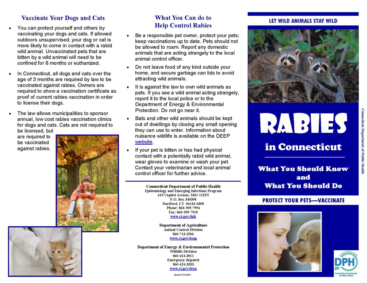 Rabies – Northeast District Department of Health